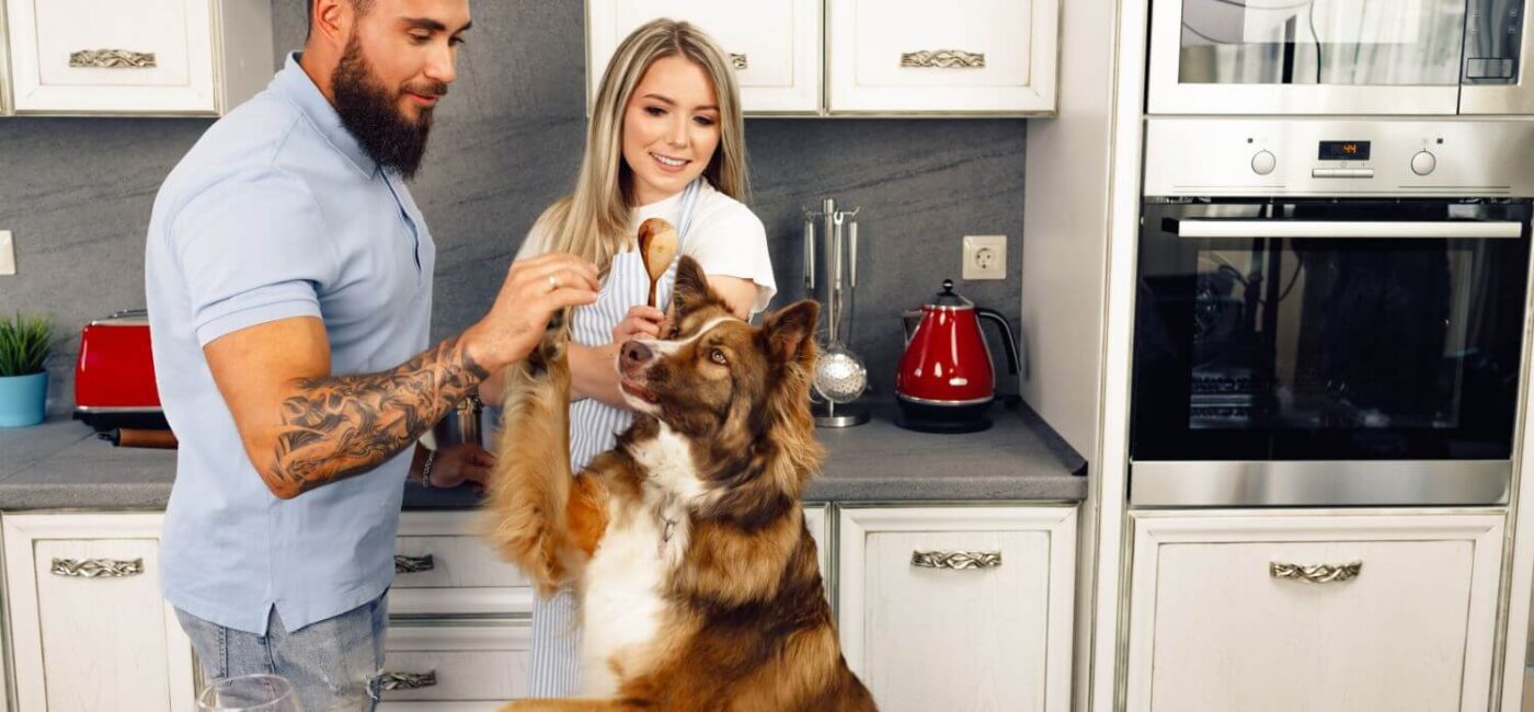 When to Switch to Senior Dog Food